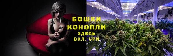 крисы Абдулино