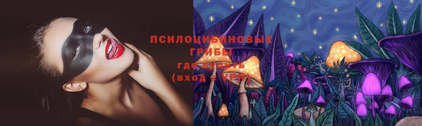 крисы Абдулино