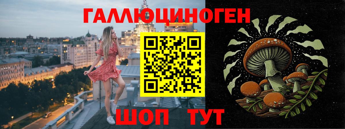 Златоуст  Галлюциногенные грибы ЛСД  Вход с VPN 