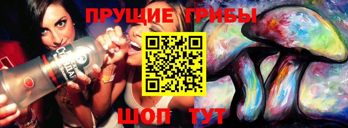 Псилоцибиновые грибы Psilocybine cubensis Златоуст